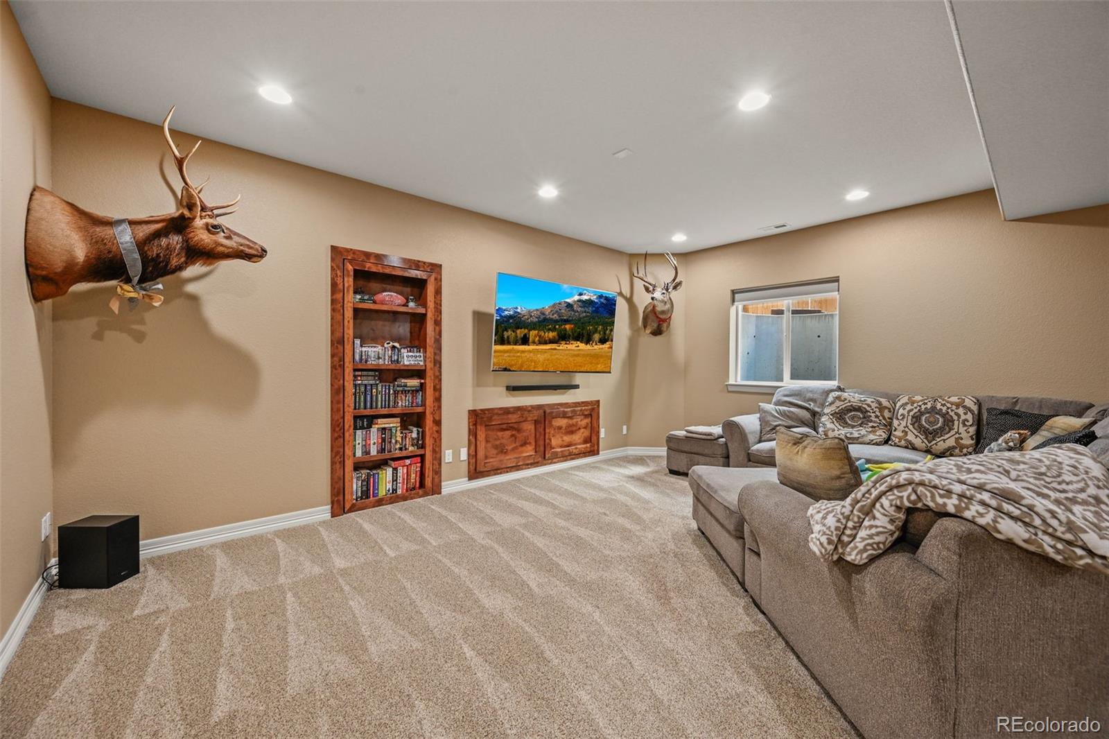 10123 Mockingbird Lane Highlands Ranch, CO 80129 - Photo 35 of 45