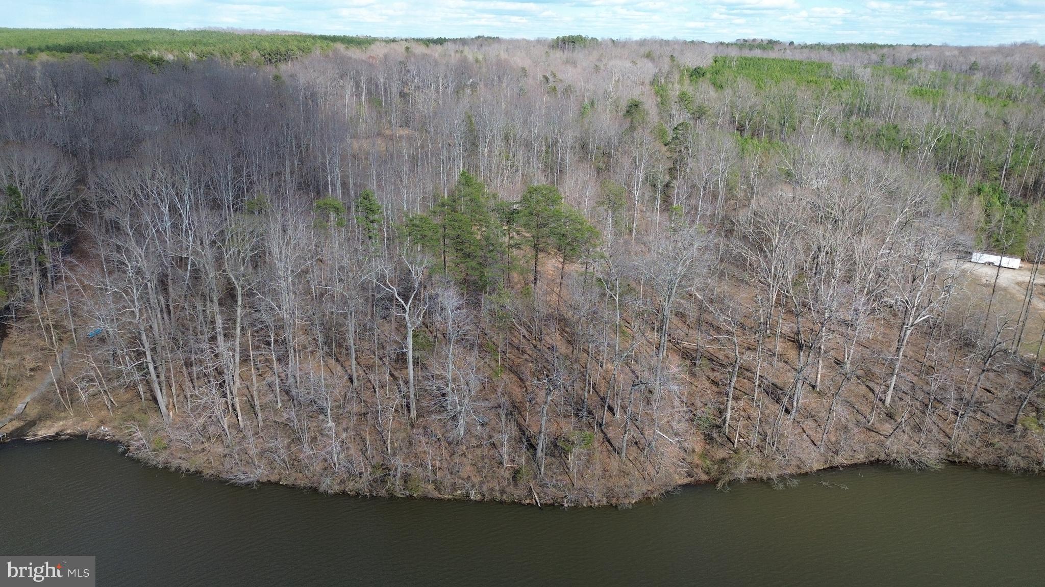 0 Dovey Road Spotsylvania, VA 22551 - Photo 11 of 23 a view of a dry yard