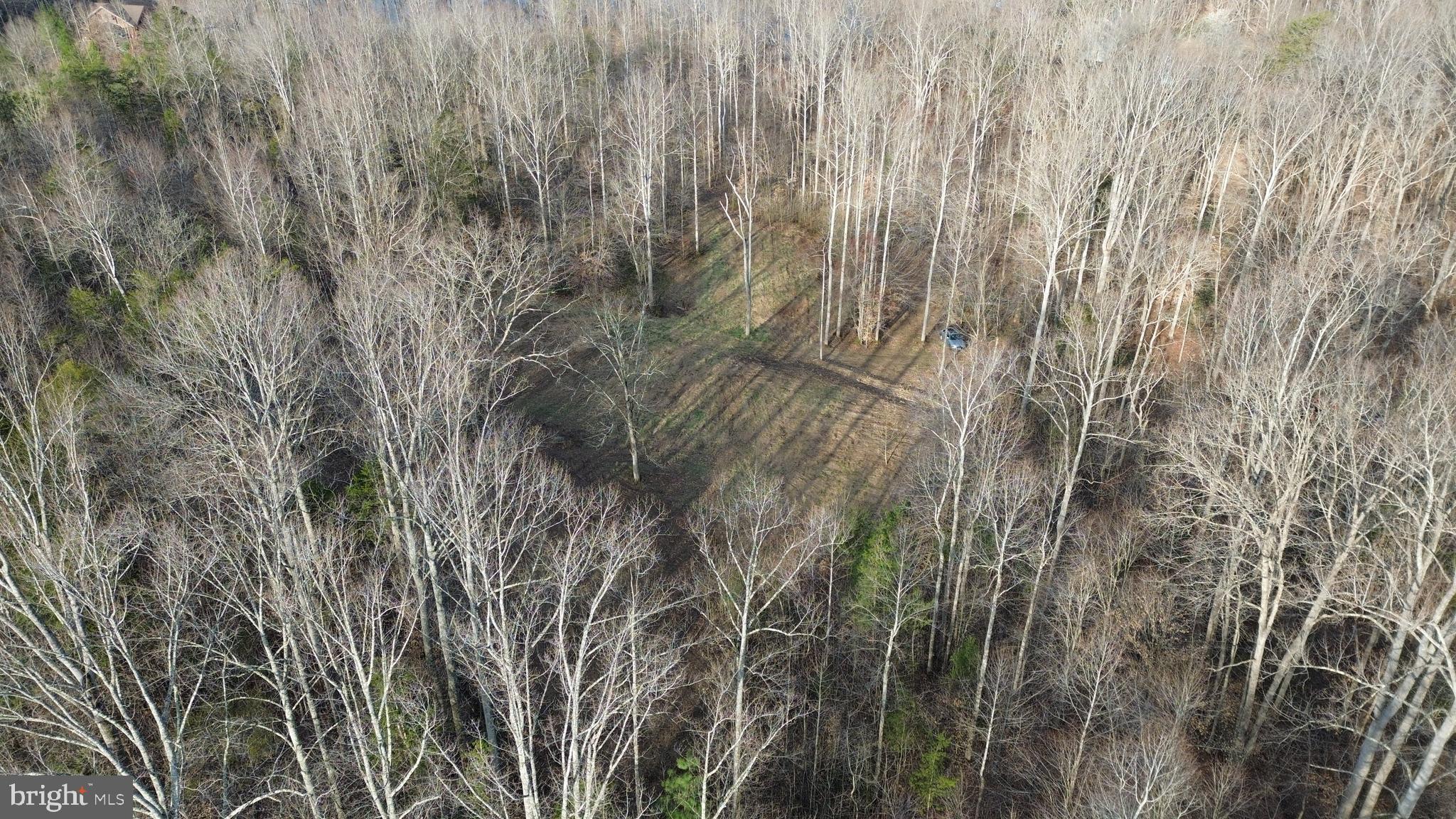 0 Dovey Road Spotsylvania, VA 22551 - Photo 13 of 23 a view of a yard