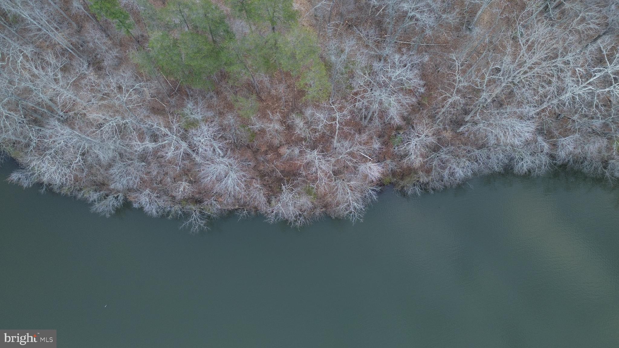 0 Dovey Road Spotsylvania, VA 22551 - Photo 17 of 23 a view of lake with green space