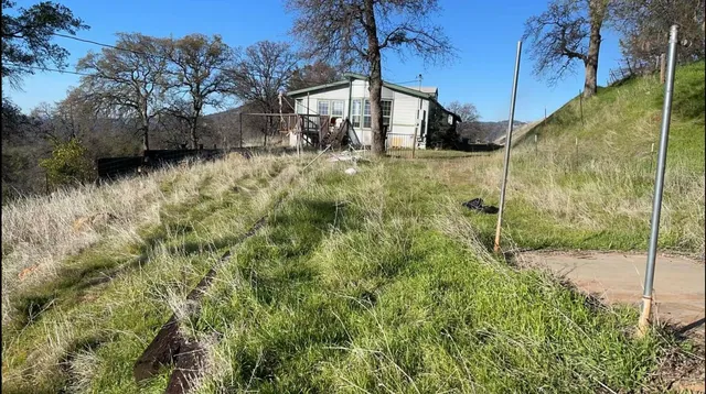 a view of yard with trees