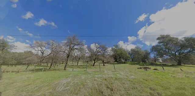 a view of outdoor space with green field and trees