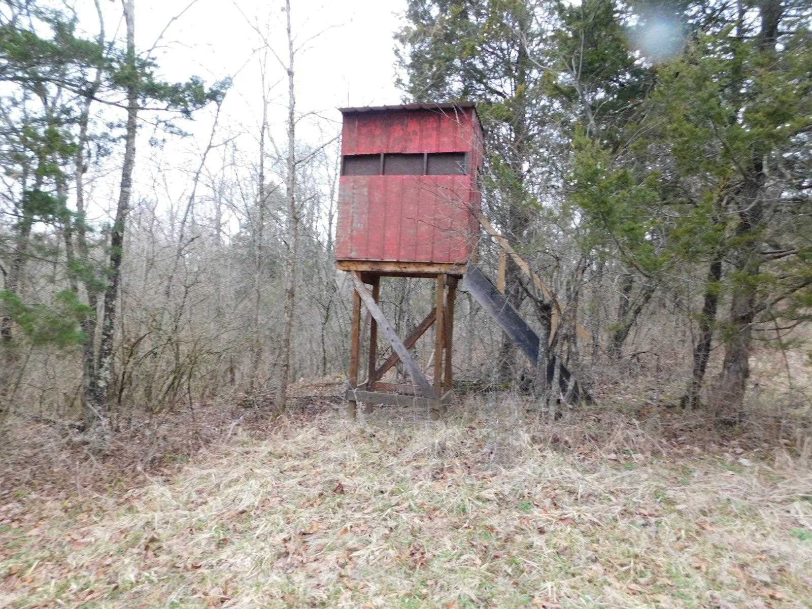 Hogg Ridge Dry Ridge, KY 41035 - Photo 17 of 22