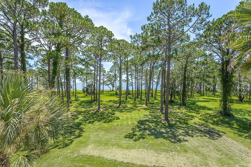 200 Gramercy Plantation Road Eastpoint, FL 32328 - Photo 32 of 58