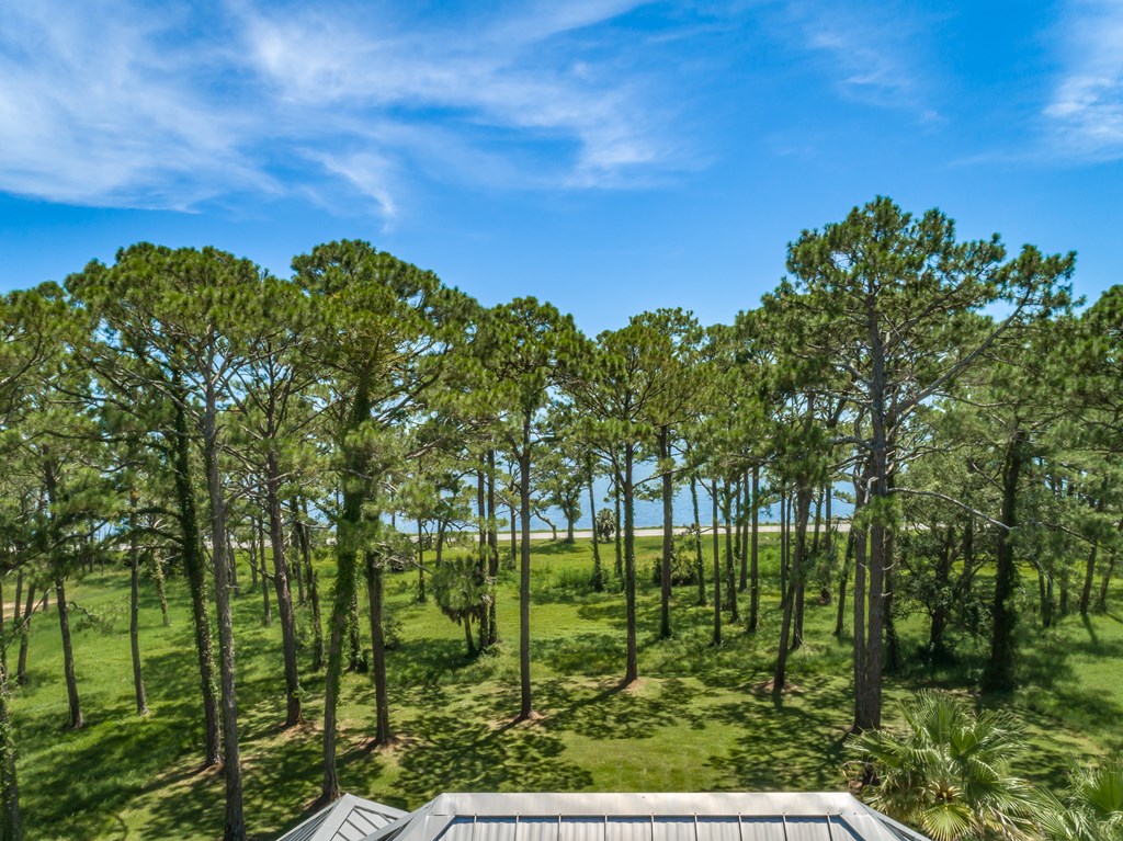 200 Gramercy Plantation Road Eastpoint, FL 32328 - Photo 51 of 58