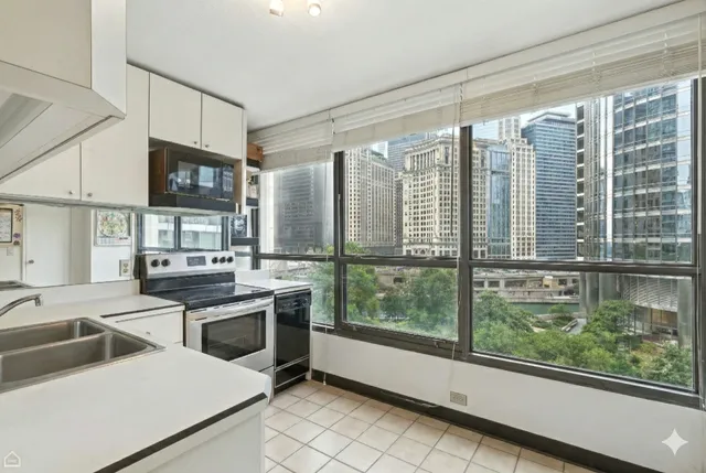 $1,850 | 405 North Wabash Avenue, Unit 206, Chicago, IL 60611