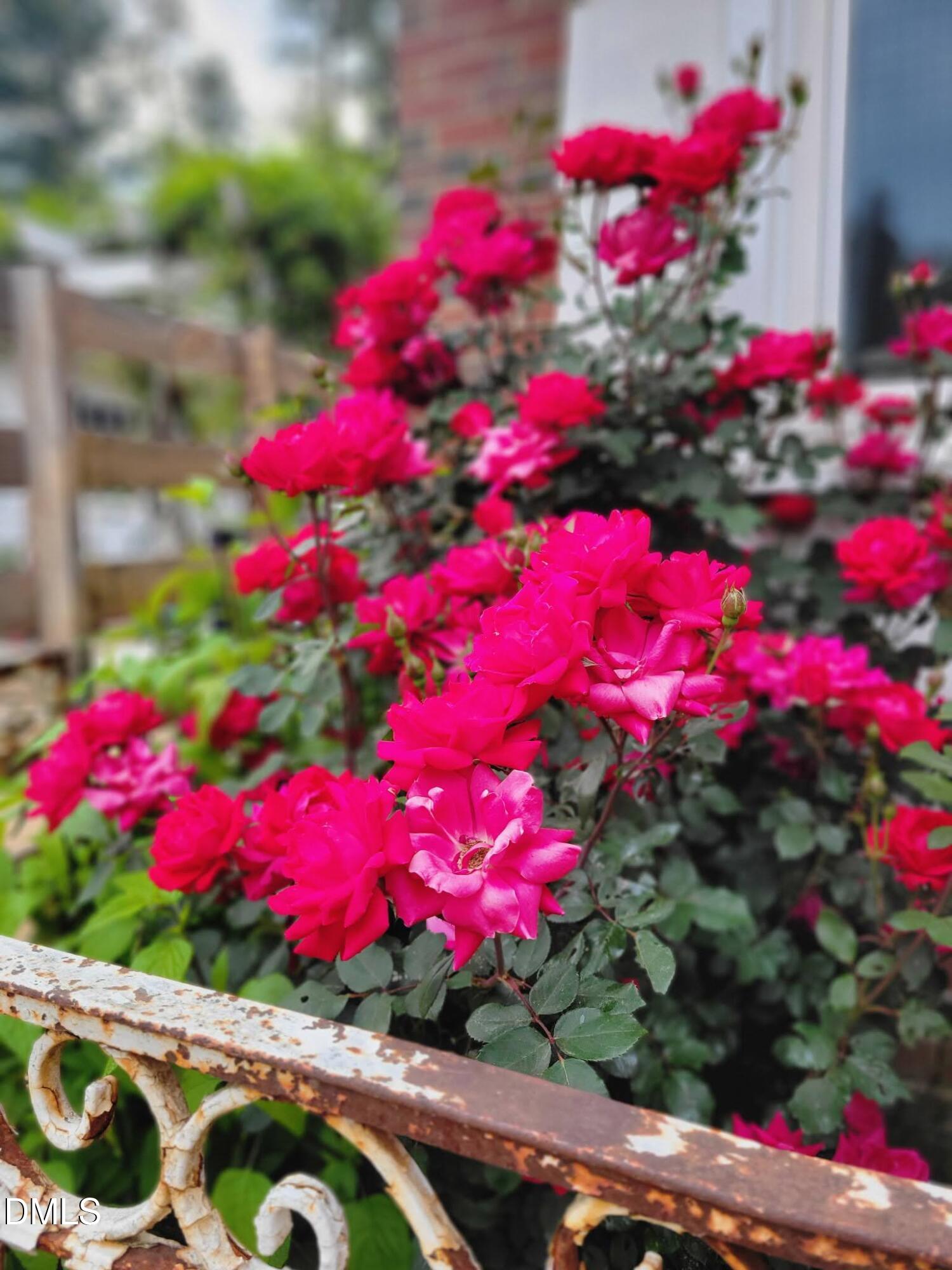 2811 Omah Street Durham, NC 27705 - Photo 42 of 74 5D48D0A3-6569-48CB-8AFD-B4AED85617CE