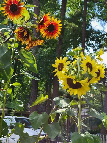 $435,000 | 2811 Omah Street, Durham, NC 27705