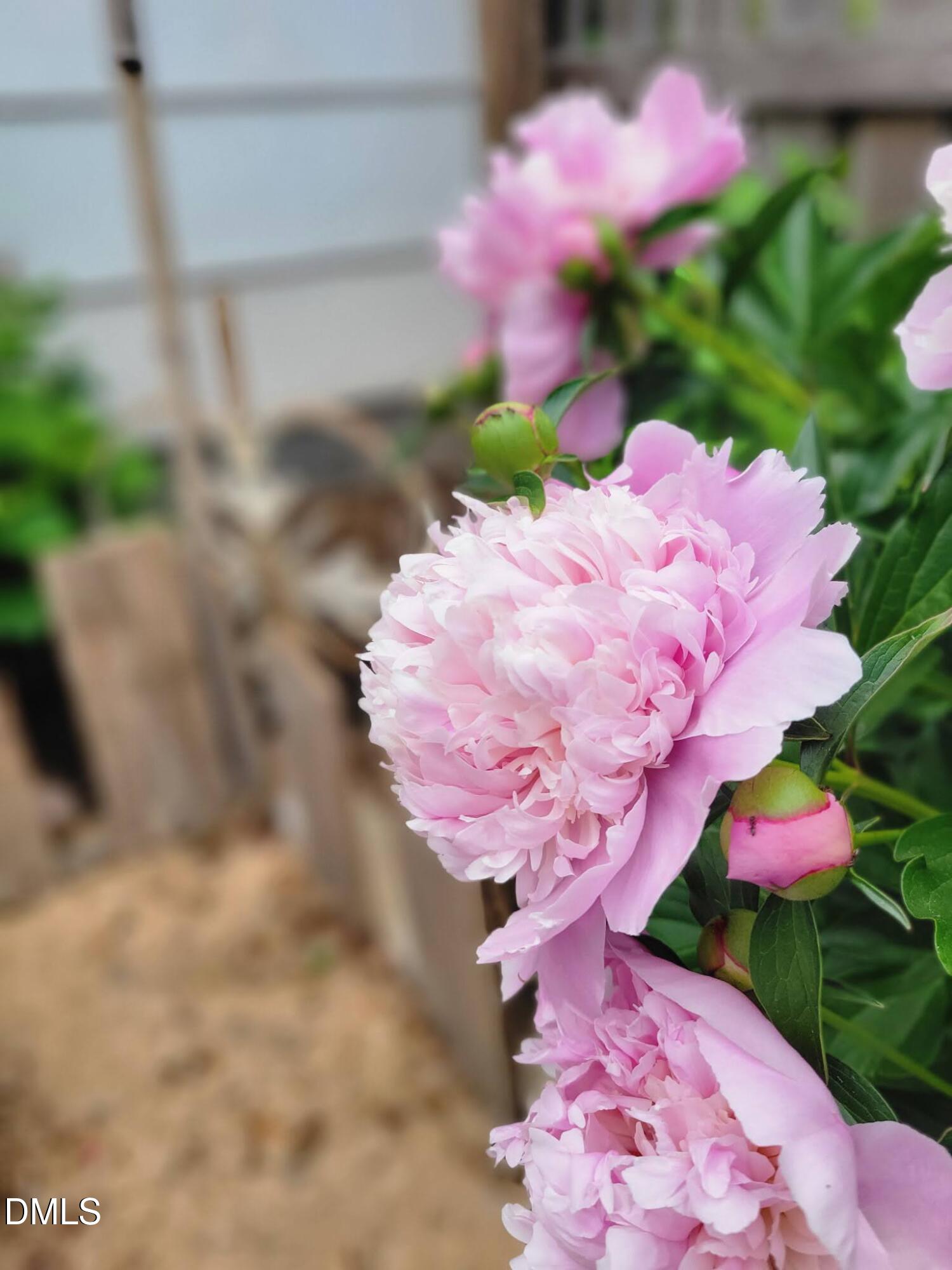 2811 Omah Street Durham, NC 27705 - Photo 60 of 74 888015A0-A424-474A-8CB8-5552A487C16C