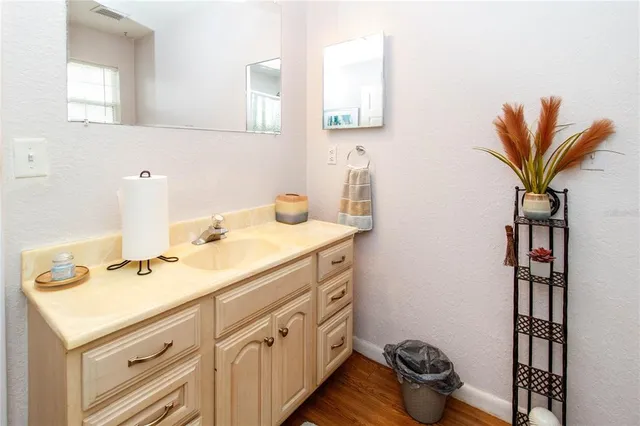 a bathroom with a sink and a mirror