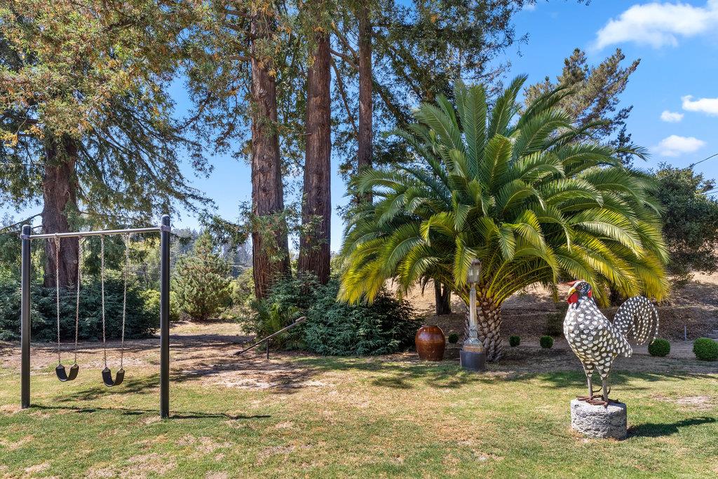 2970 Freedom Boulevard Watsonville, CA 95076 - Photo 54 of 58 a view of a garden with a tree