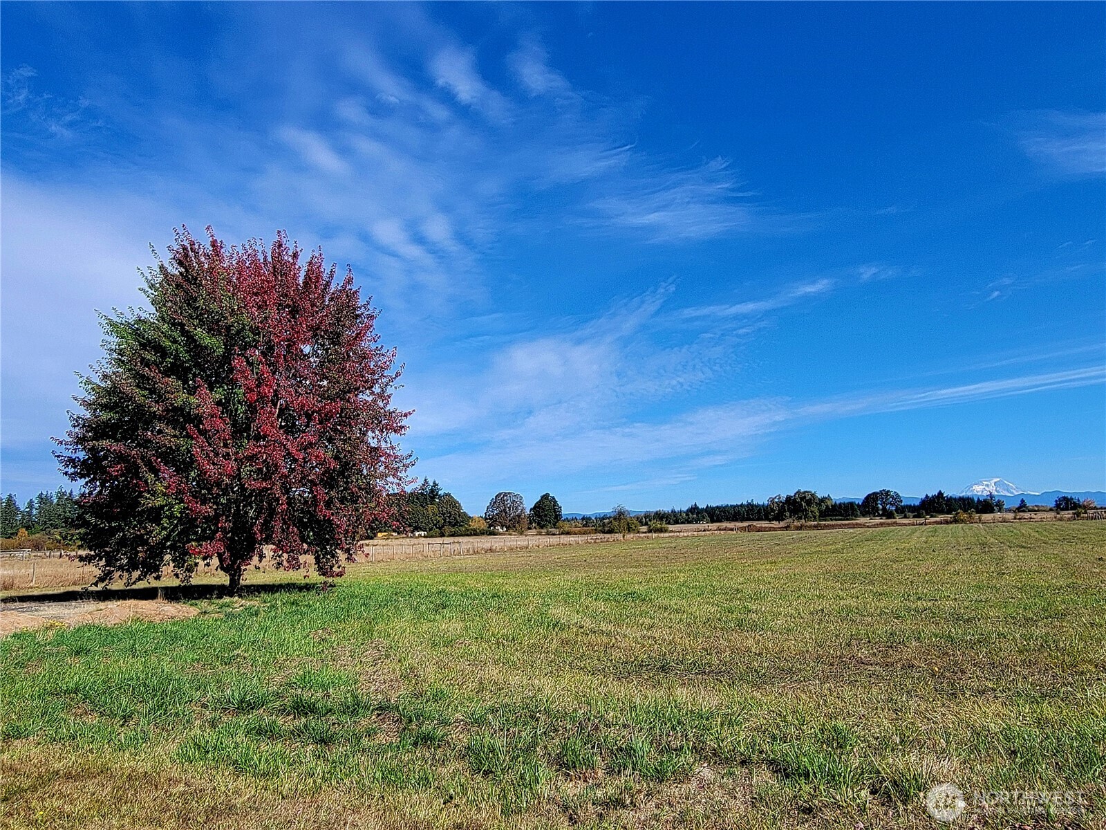 180 Rodeo Lane Toledo, WA 98591 - Photo 32 of 40 Gallery Image 32