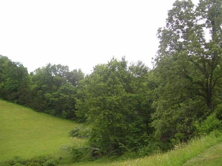 110 Kelly Branch Road London, KY 40741 - Photo 34 of 39 Photo 36