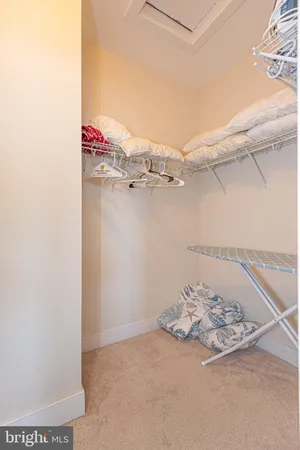 a large body of water next to a building with large trees and boats
