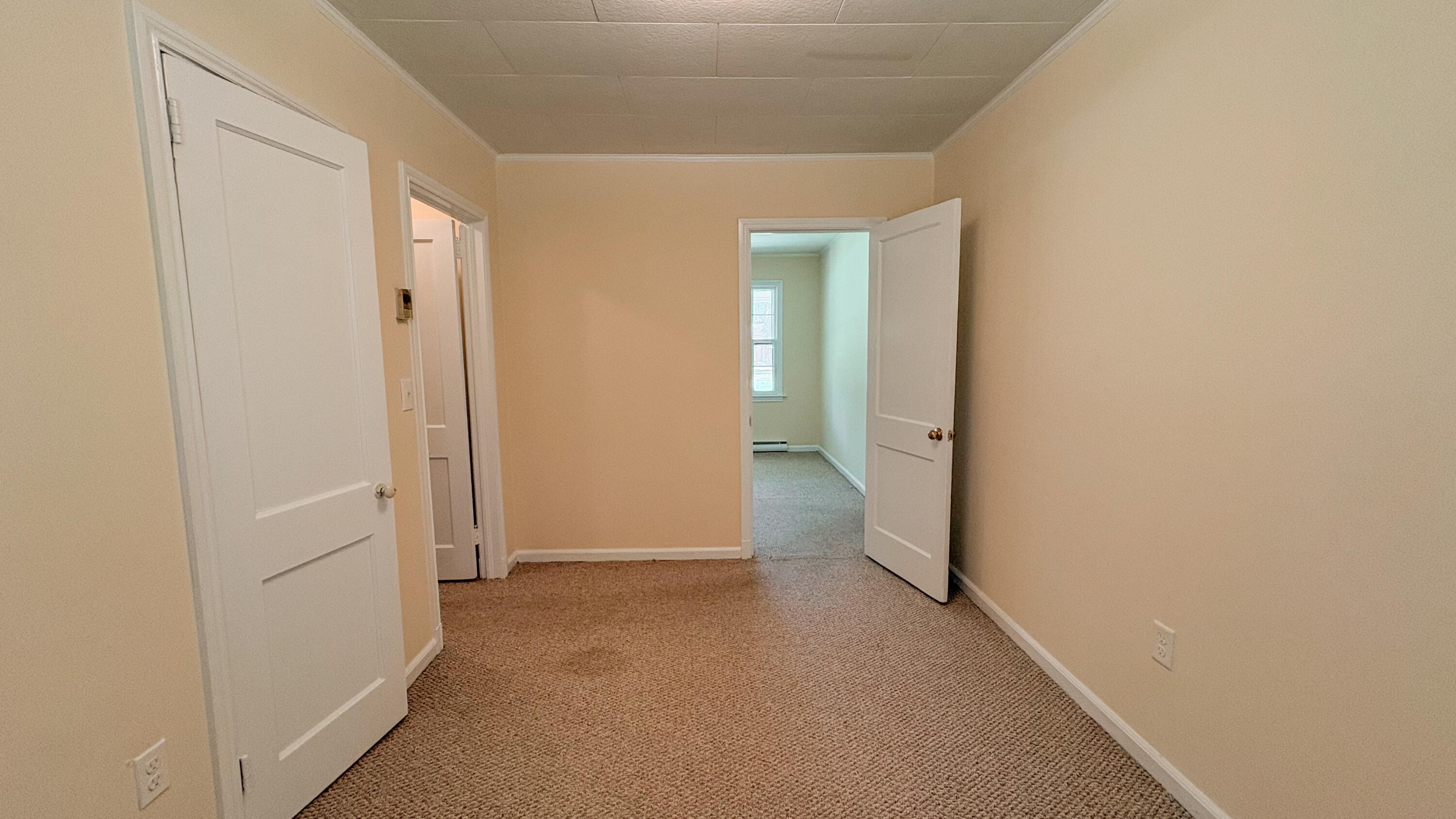 208 George Street Walterboro, SC 29488 - Photo 27 of 29 IMG_4007