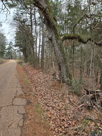 $147,000 | 0 Cr 3206 (23.91ac) Laneville Tx 75667, Mount Enterprise, TX 75681