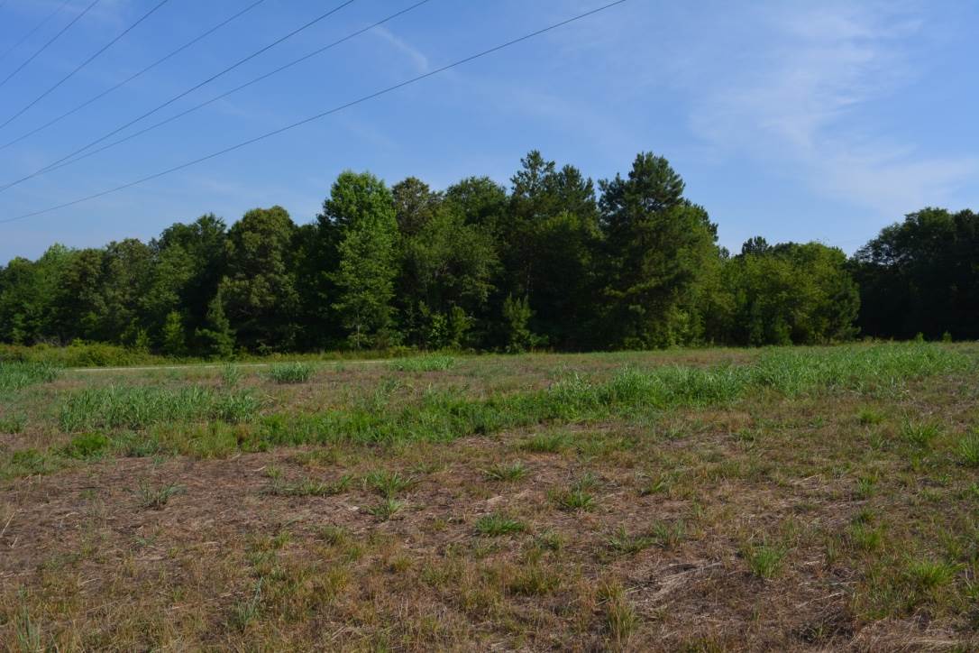 Lot 3 Gramling School Road Inman, SC 29349 - Photo 4 of 24