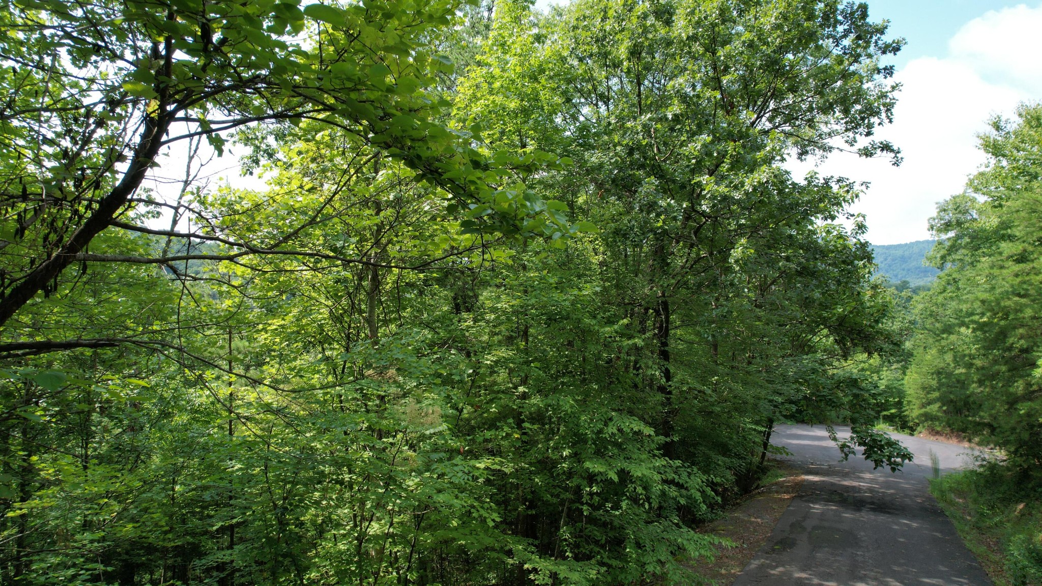 98 Black Powder Lane Sevierville, TN 37862 - Photo 8 of 30