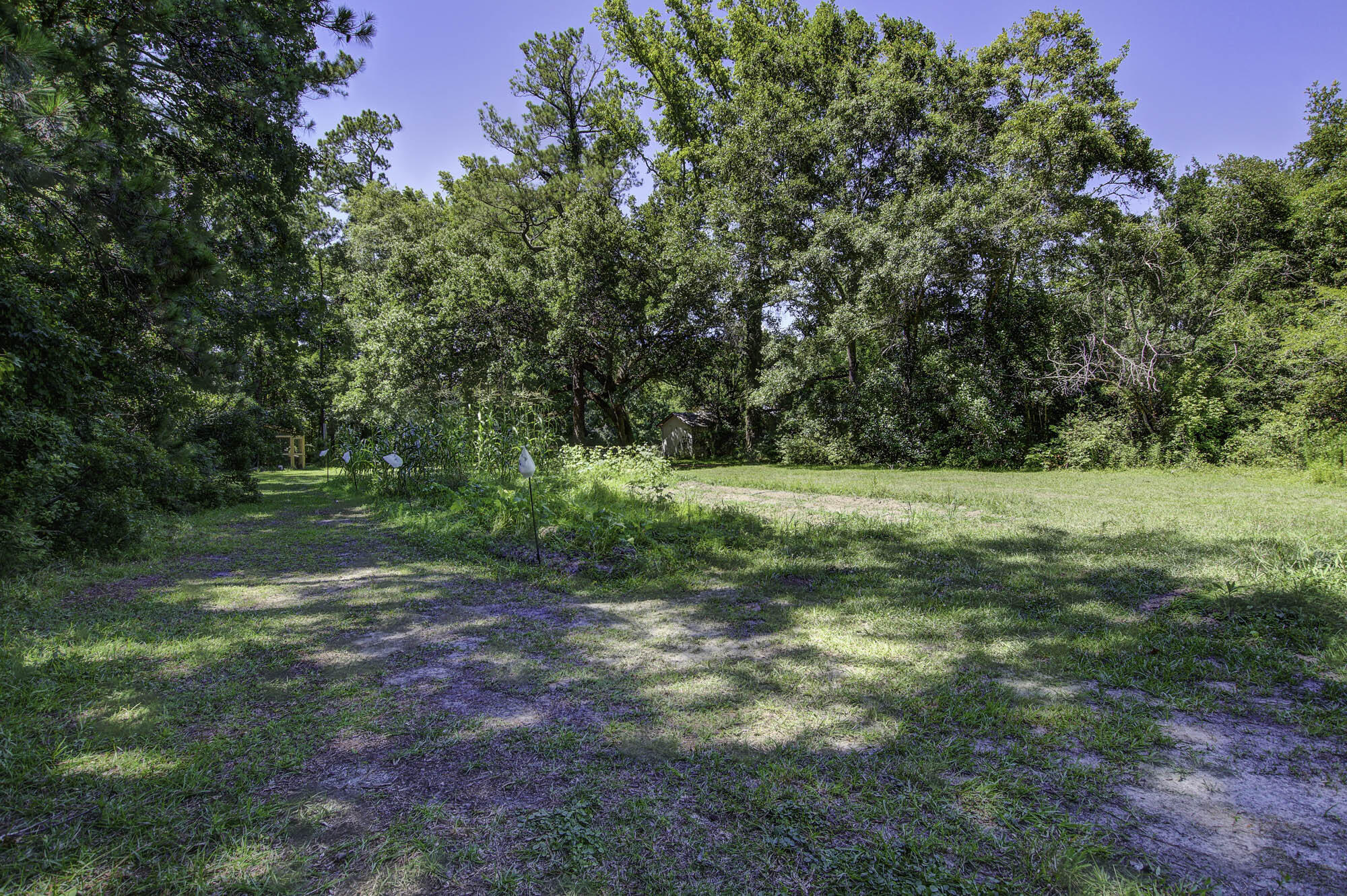 633 Country Club Road Andrews, SC 29510 - Photo 62 of 71 633 (64)