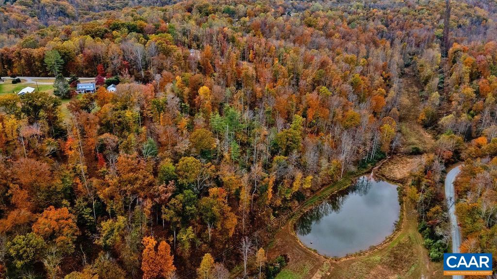0 Adial Road Faber, VA 22938 - Photo 11 of 15 a view of outdoor space and swimming pool
