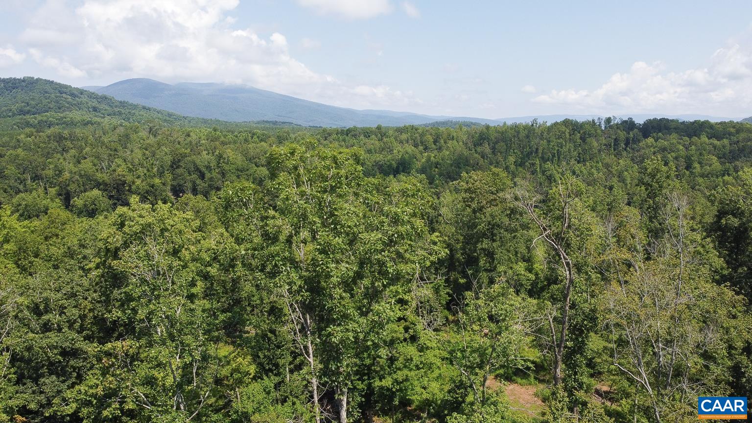0 Adial Road Faber, VA 22938 - Photo 15 of 15 a view of a city with lush green forest