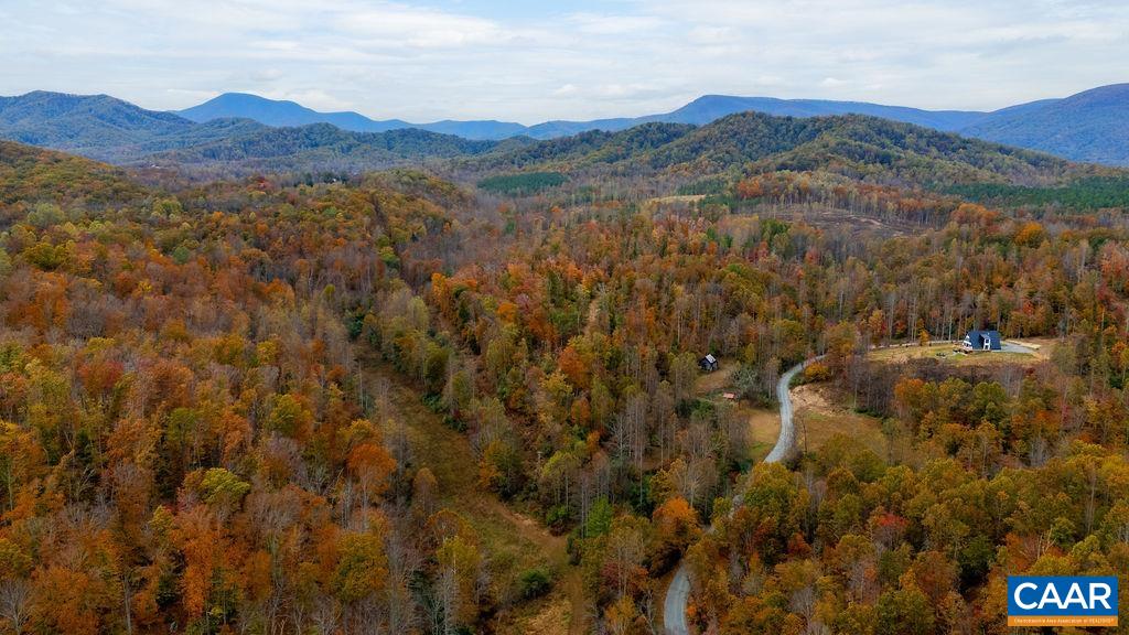 0 Adial Road Faber, VA 22938 - Photo 4 of 15 a view of a lush green hillside and houses