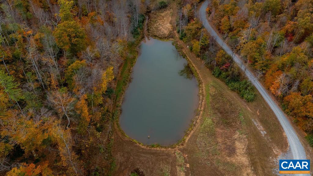0 Adial Road Faber, VA 22938 - Photo 8 of 15 a view of a yard with pathway