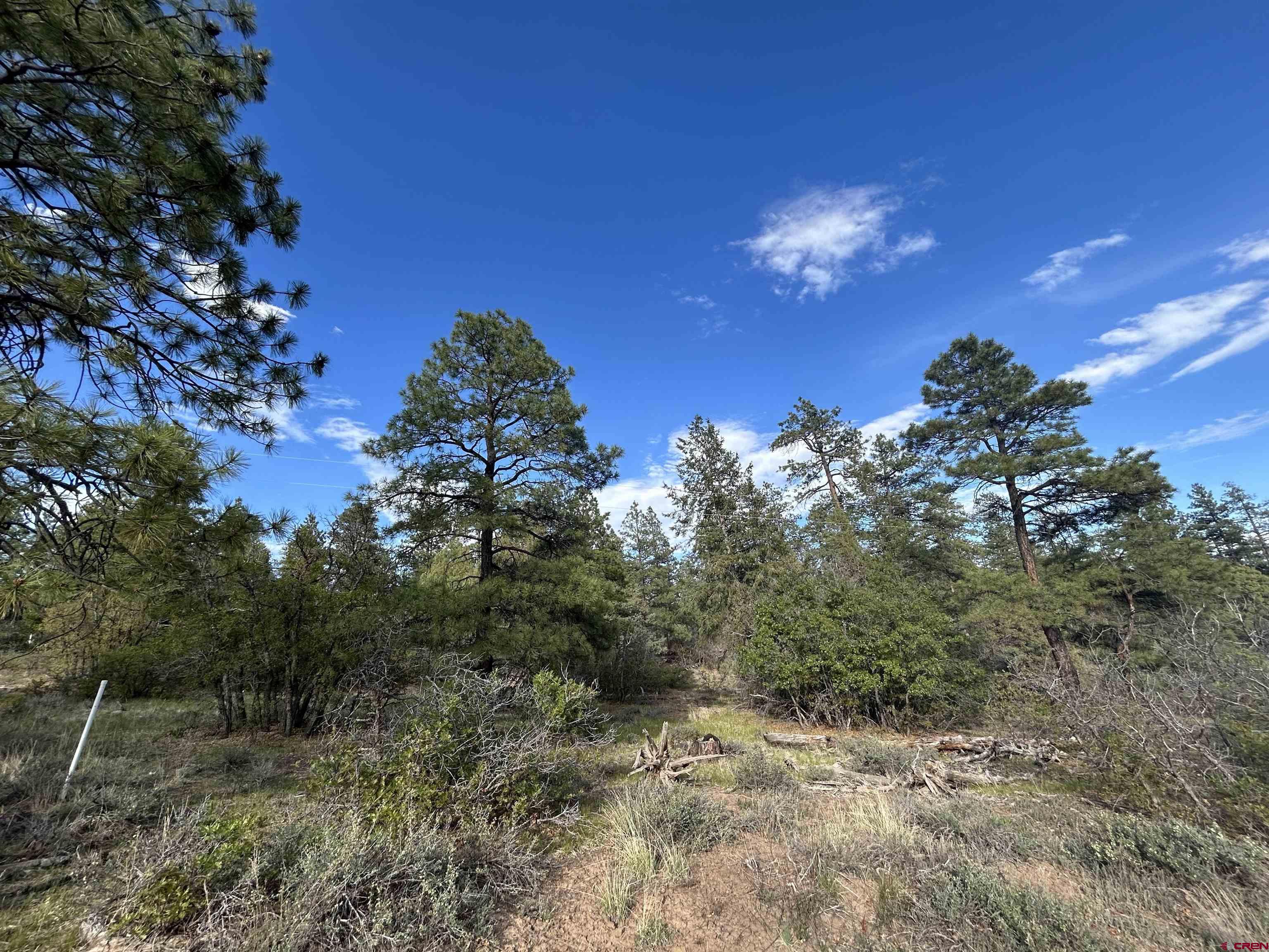 1333 Doc Adams Road Pagosa Springs, CO 81147 - Photo 16 of 20 a view of a houses with a yard