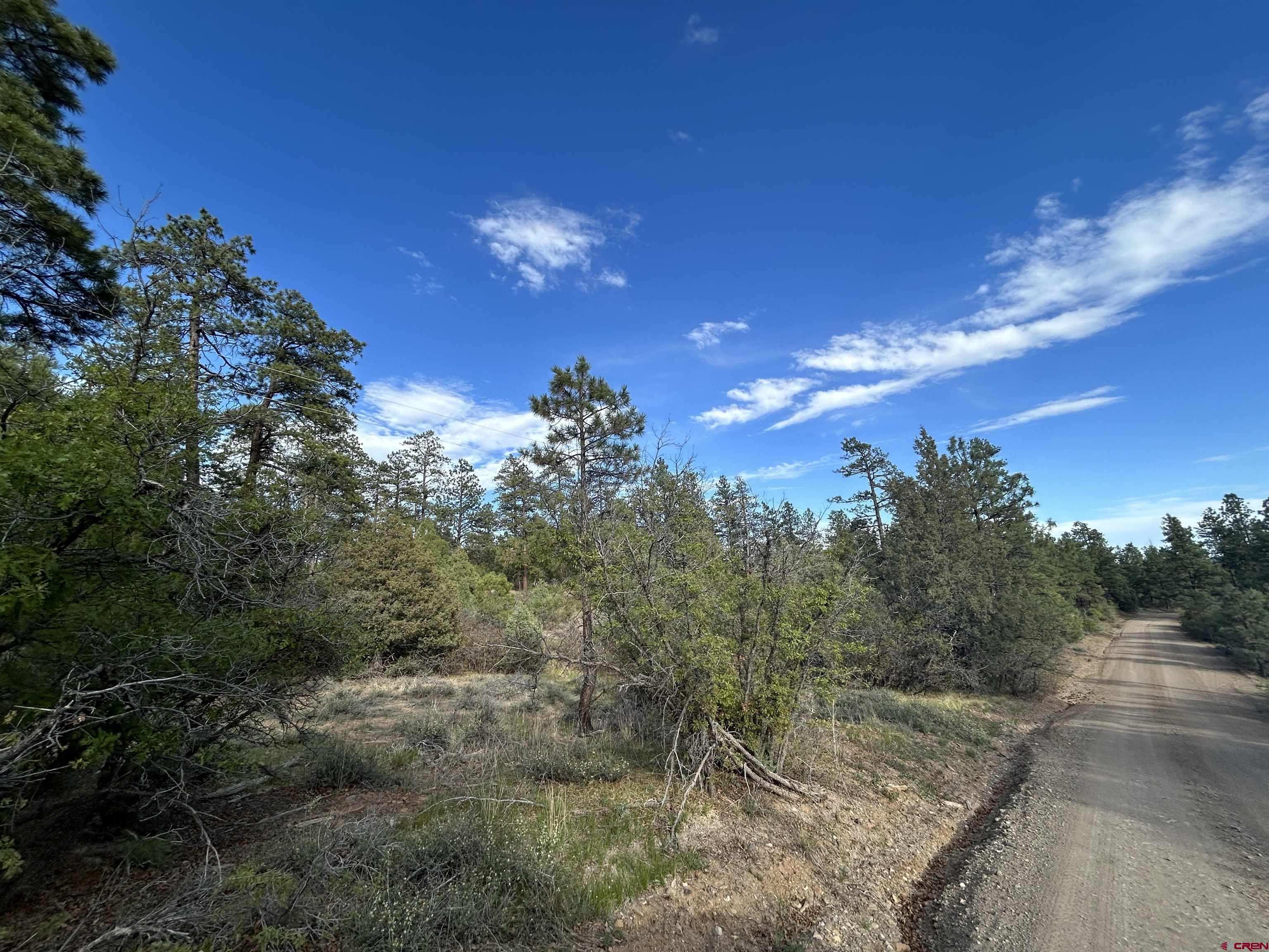 1333 Doc Adams Road Pagosa Springs, CO 81147 - Photo 18 of 20 a view of a house with a yard