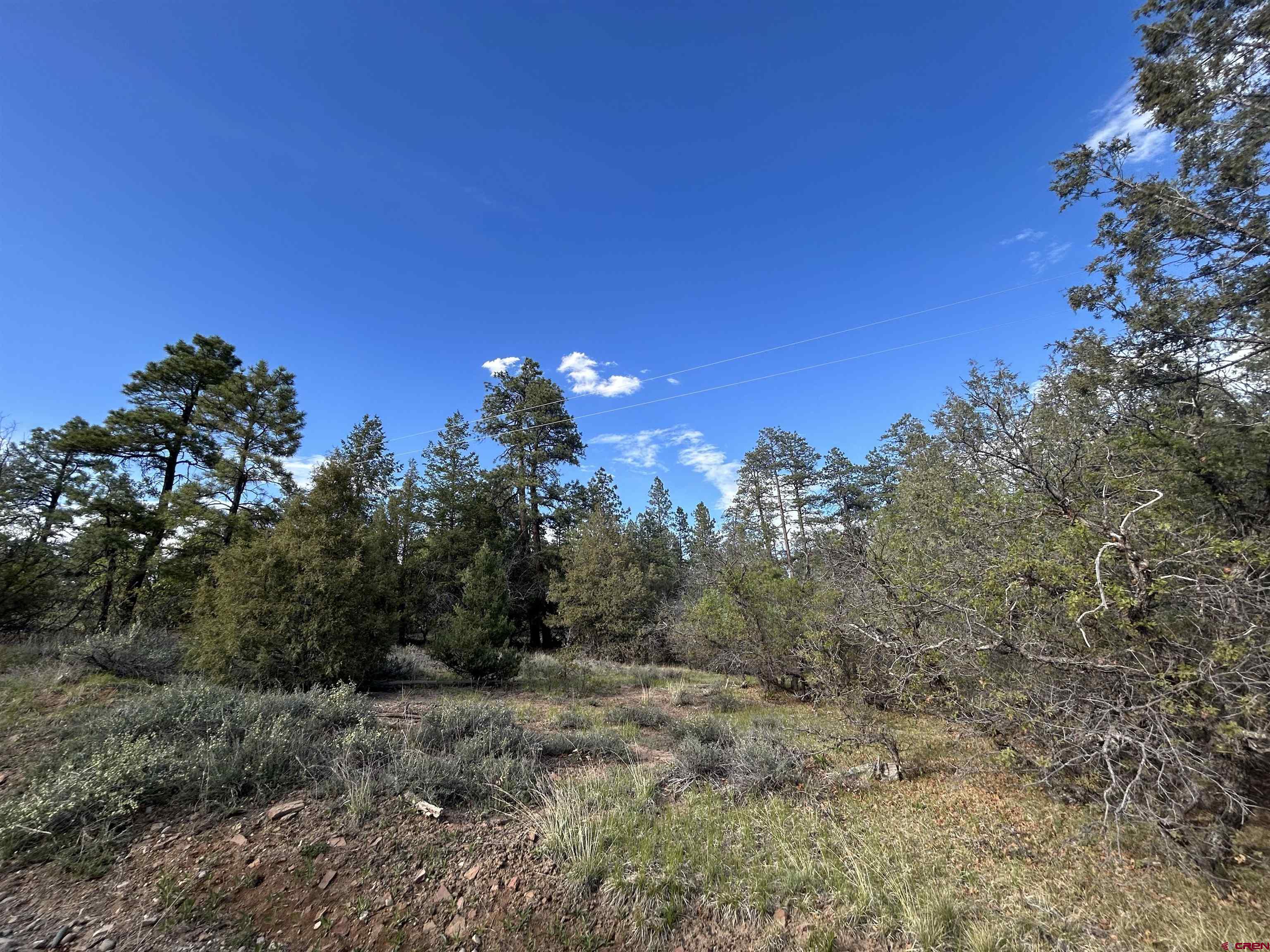 1333 Doc Adams Road Pagosa Springs, CO 81147 - Photo 19 of 20 a view of a yard with a tree