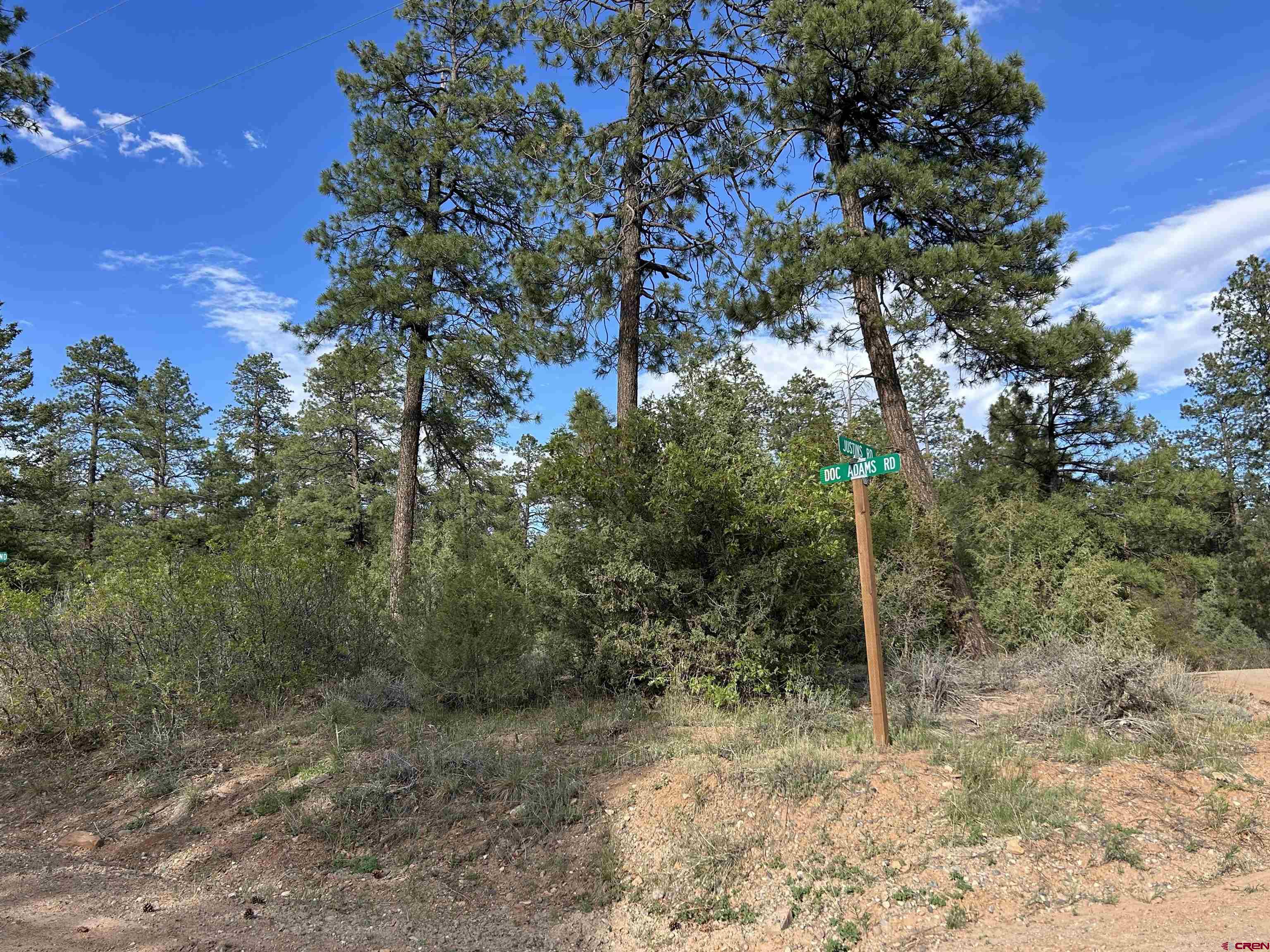1333 Doc Adams Road Pagosa Springs, CO 81147 - Photo 20 of 20 a view of a forest