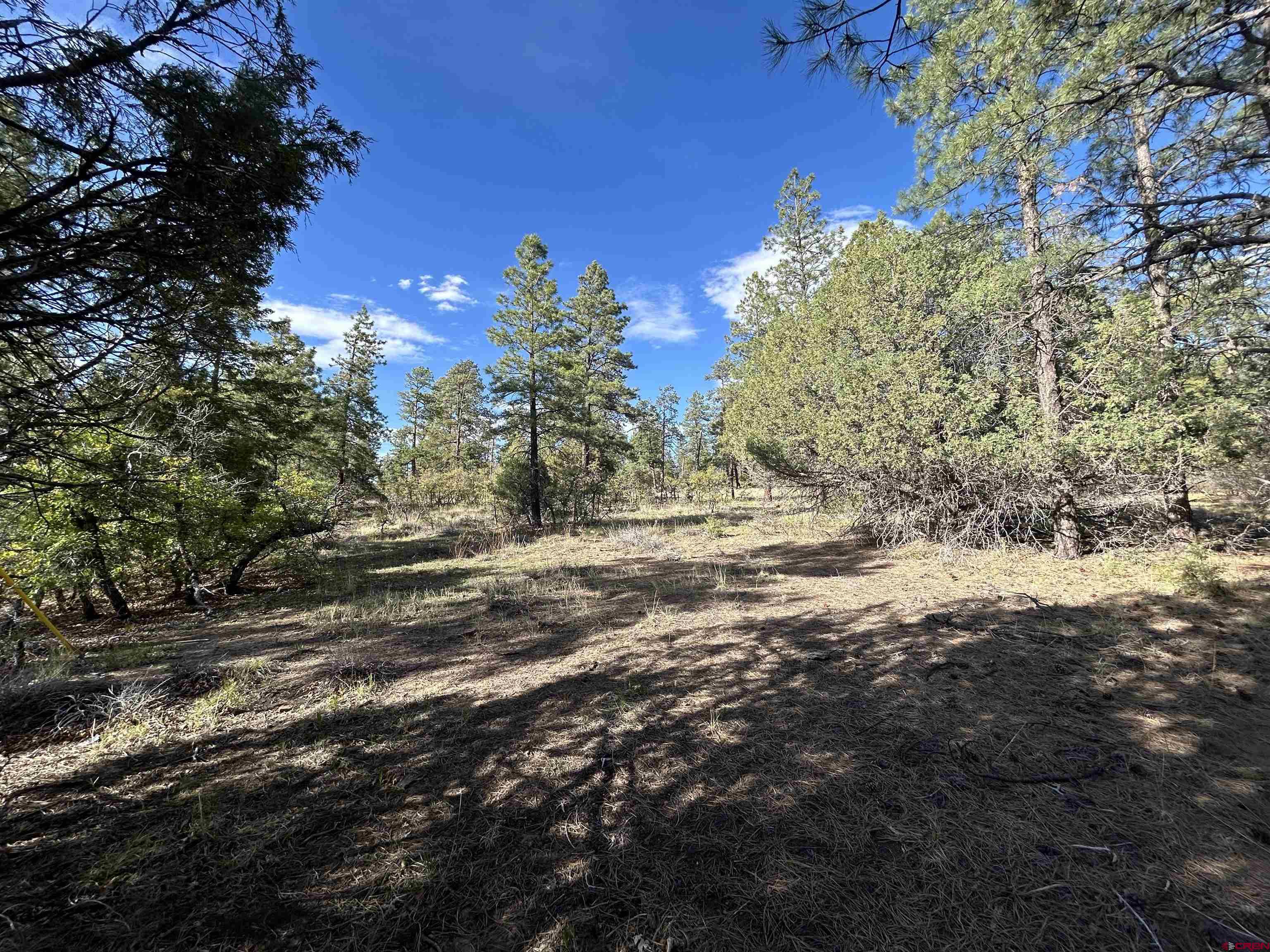1333 Doc Adams Road Pagosa Springs, CO 81147 - Photo 7 of 20 a view of side of a building