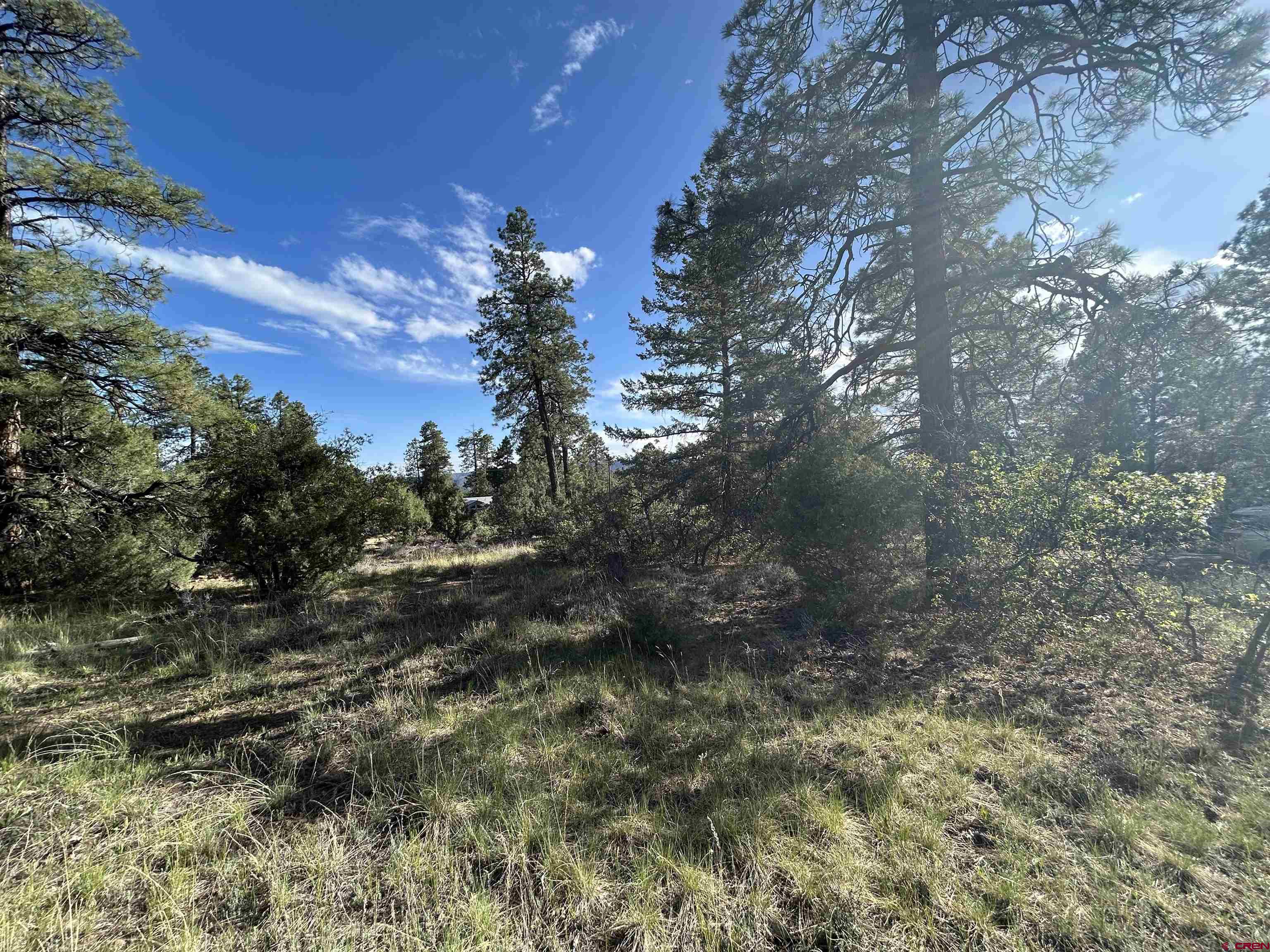 1333 Doc Adams Road Pagosa Springs, CO 81147 - Photo 10 of 20 a view of a bunch of trees