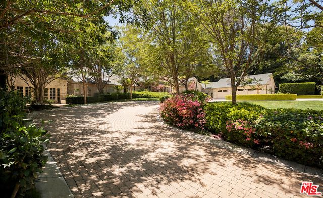 a view of a yard with plants and trees