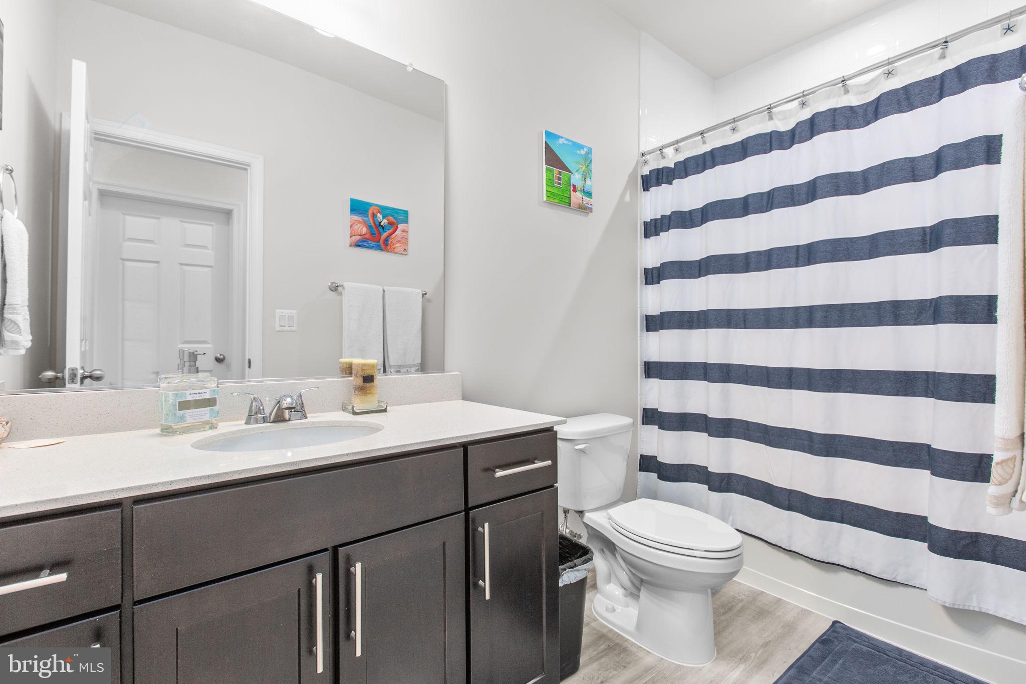 6306 Bobcat Lane King George, VA 22485 - Photo 32 of 58 a bathroom with a sink a toilet a shower curtain and a mirror