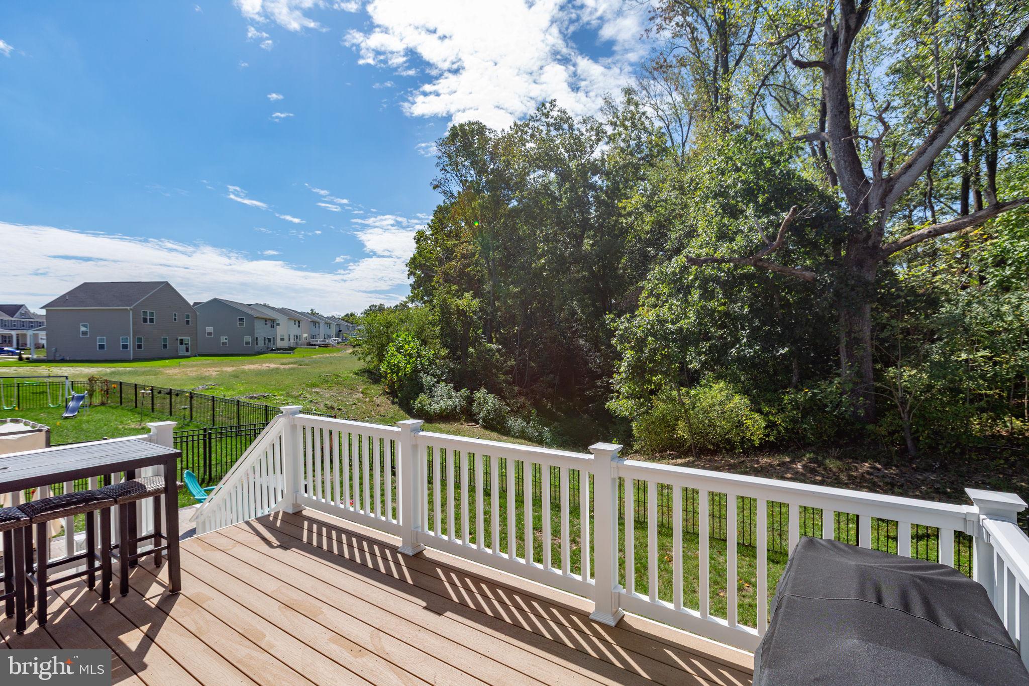 6306 Bobcat Lane King George, VA 22485 - Photo 49 of 58