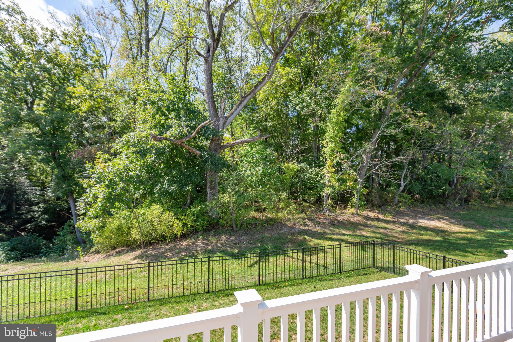 6306 Bobcat Lane King George, VA 22485 - Photo 51 of 58 a view of a backyard