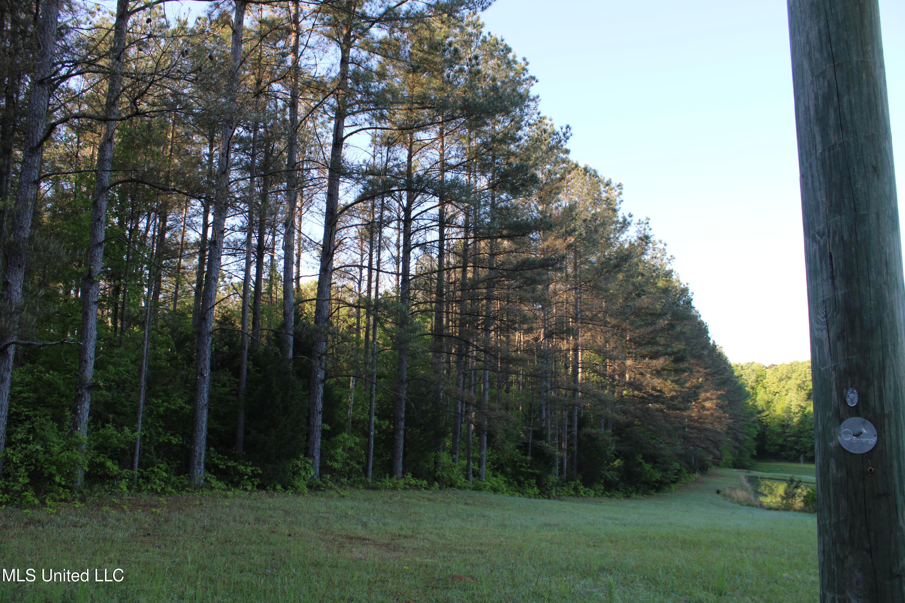 0 Kennebrew Road Jackson, MS 39209 - Photo 12 of 15 IMG_4996