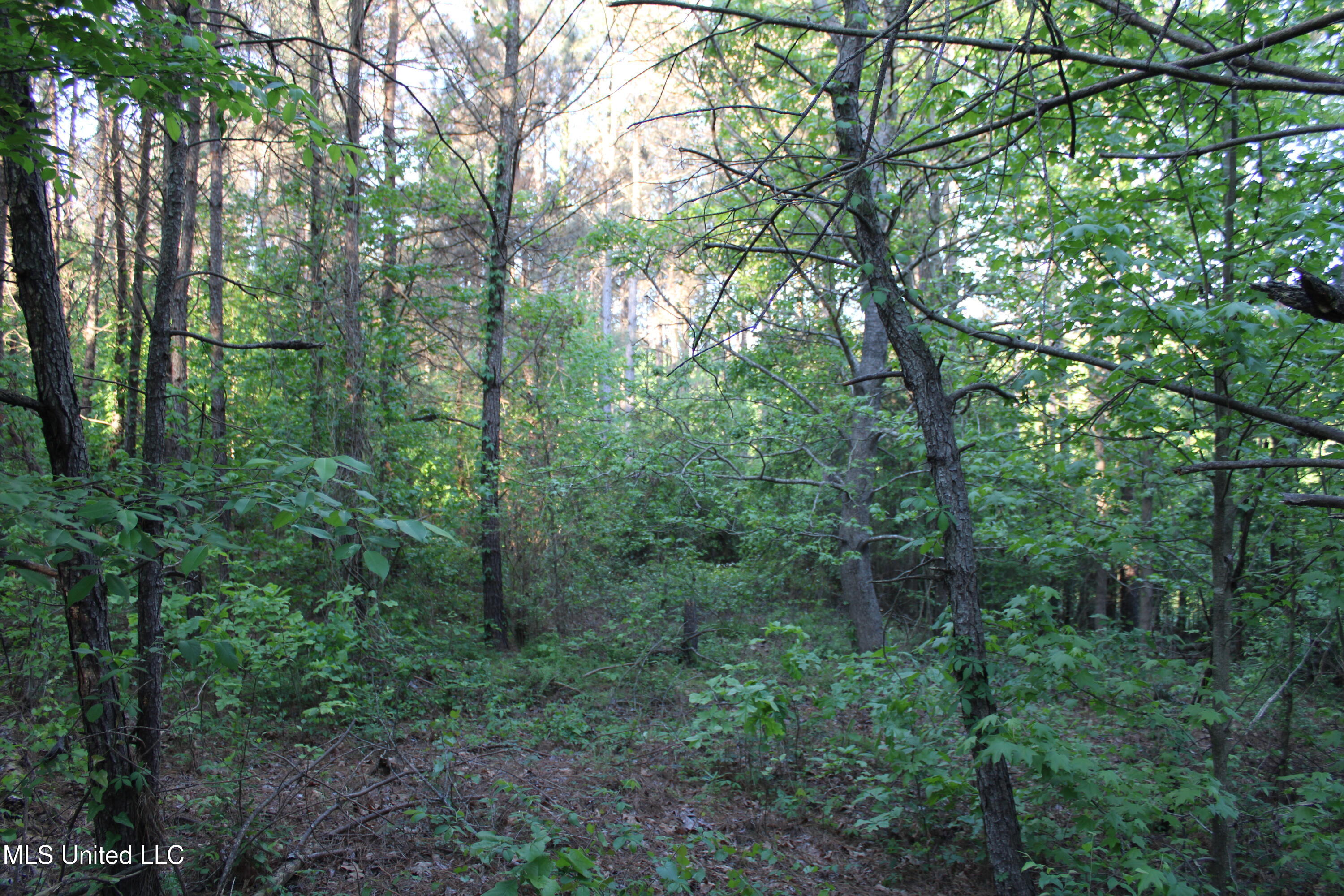 0 Kennebrew Road Jackson, MS 39209 - Photo 13 of 15 IMG_4997