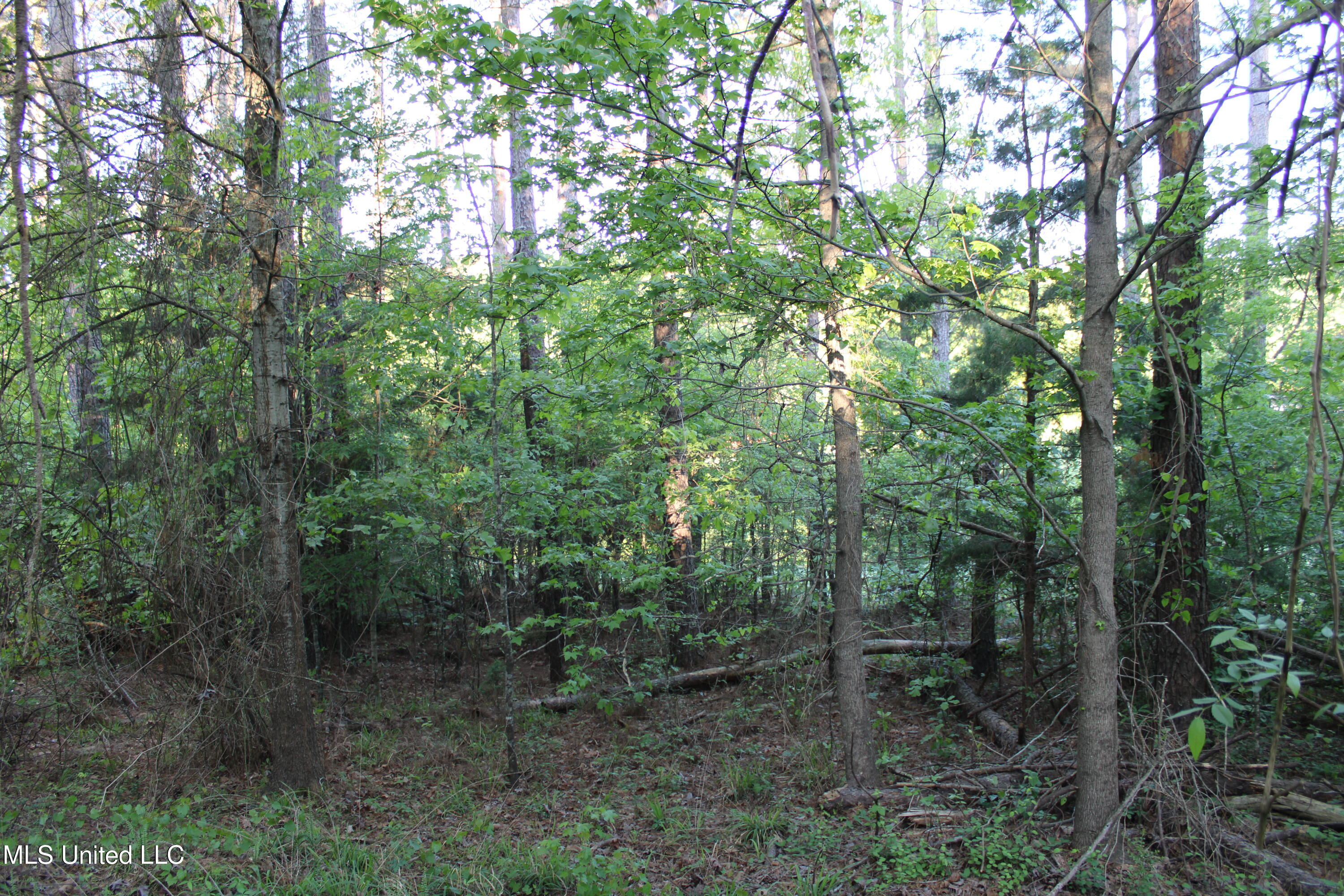 0 Kennebrew Road Jackson, MS 39209 - Photo 14 of 15 IMG_4998