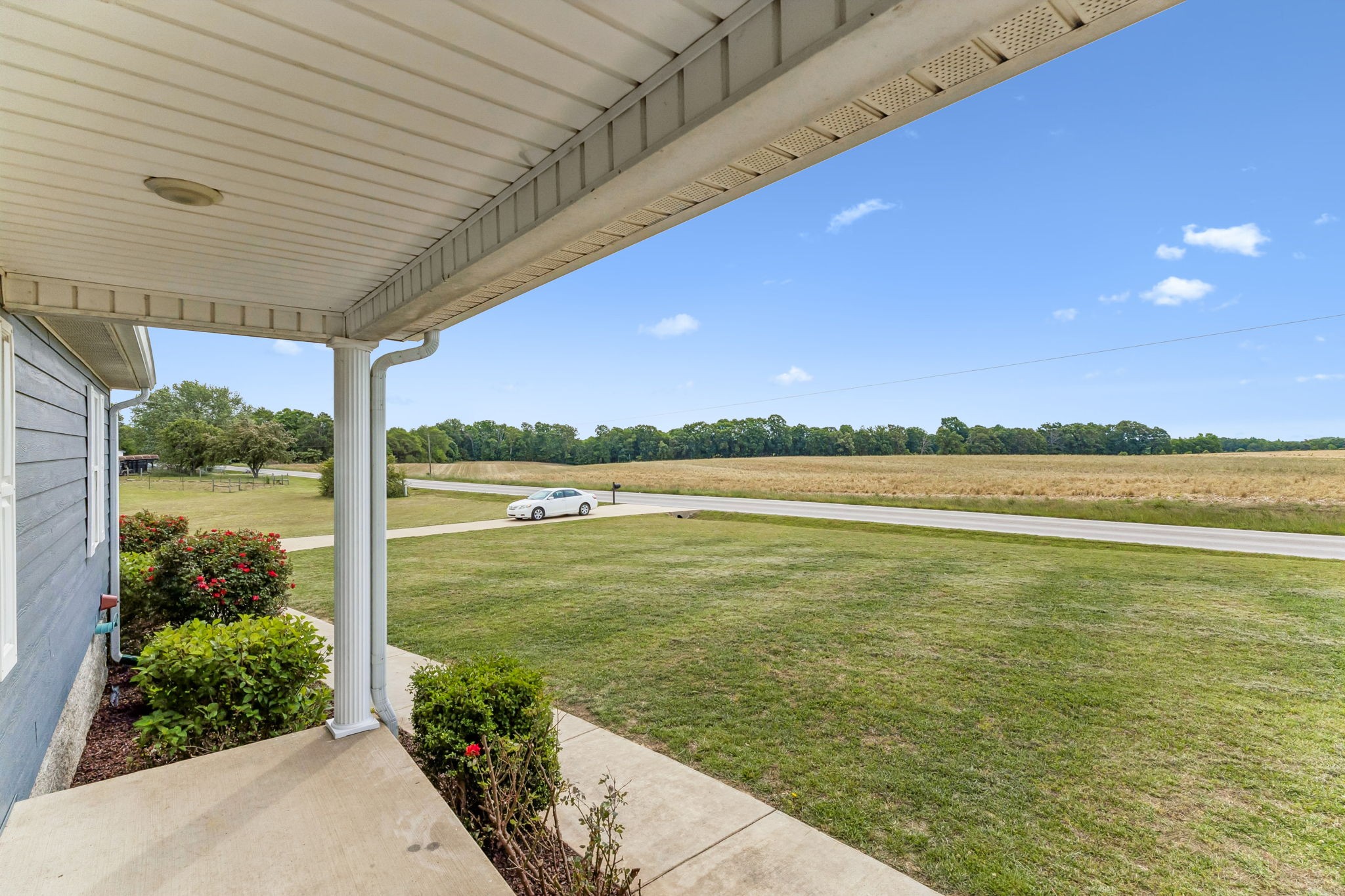 204 Brace Road Summertown, TN 38483 - Photo 3 of 34