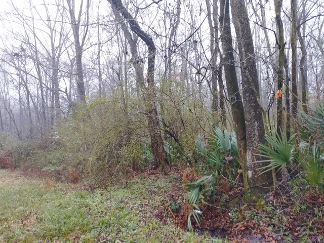 $50,000 | Tbd Ridgewood Drive, Baton Rouge, LA 70814