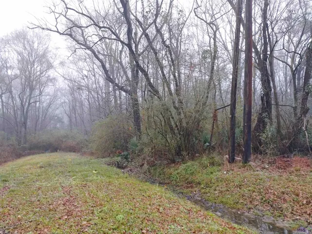 $50,000 | Tbd Ridgewood Drive, Baton Rouge, LA 70814
