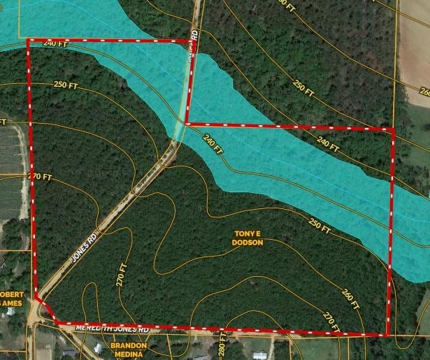 363 Jones Road Climax, GA 39834 - Photo 8 of 33 Flood Zone Area around Creek