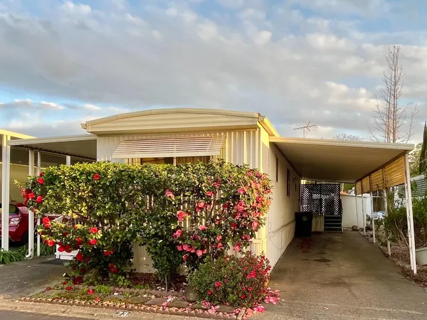 a view of a porch with a potted plant