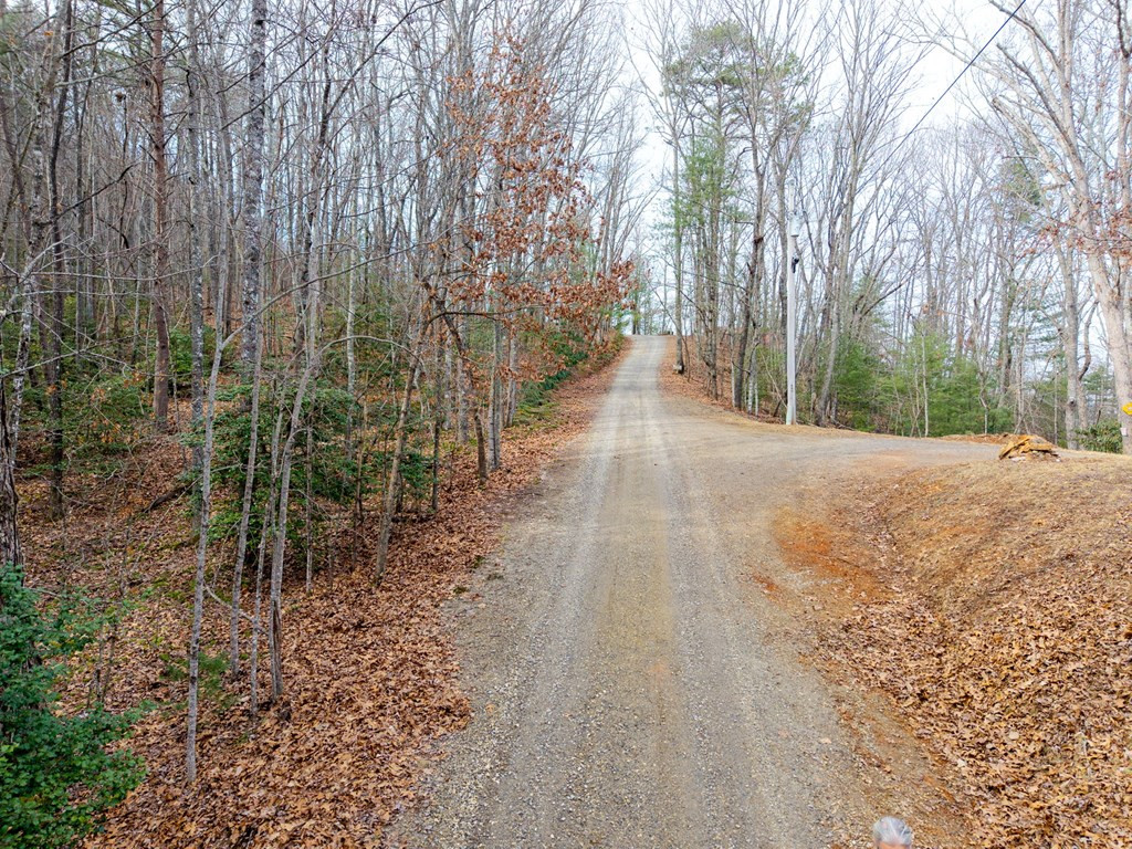 52 B Forest View Murphy, NC 28906 - Photo 4 of 13
