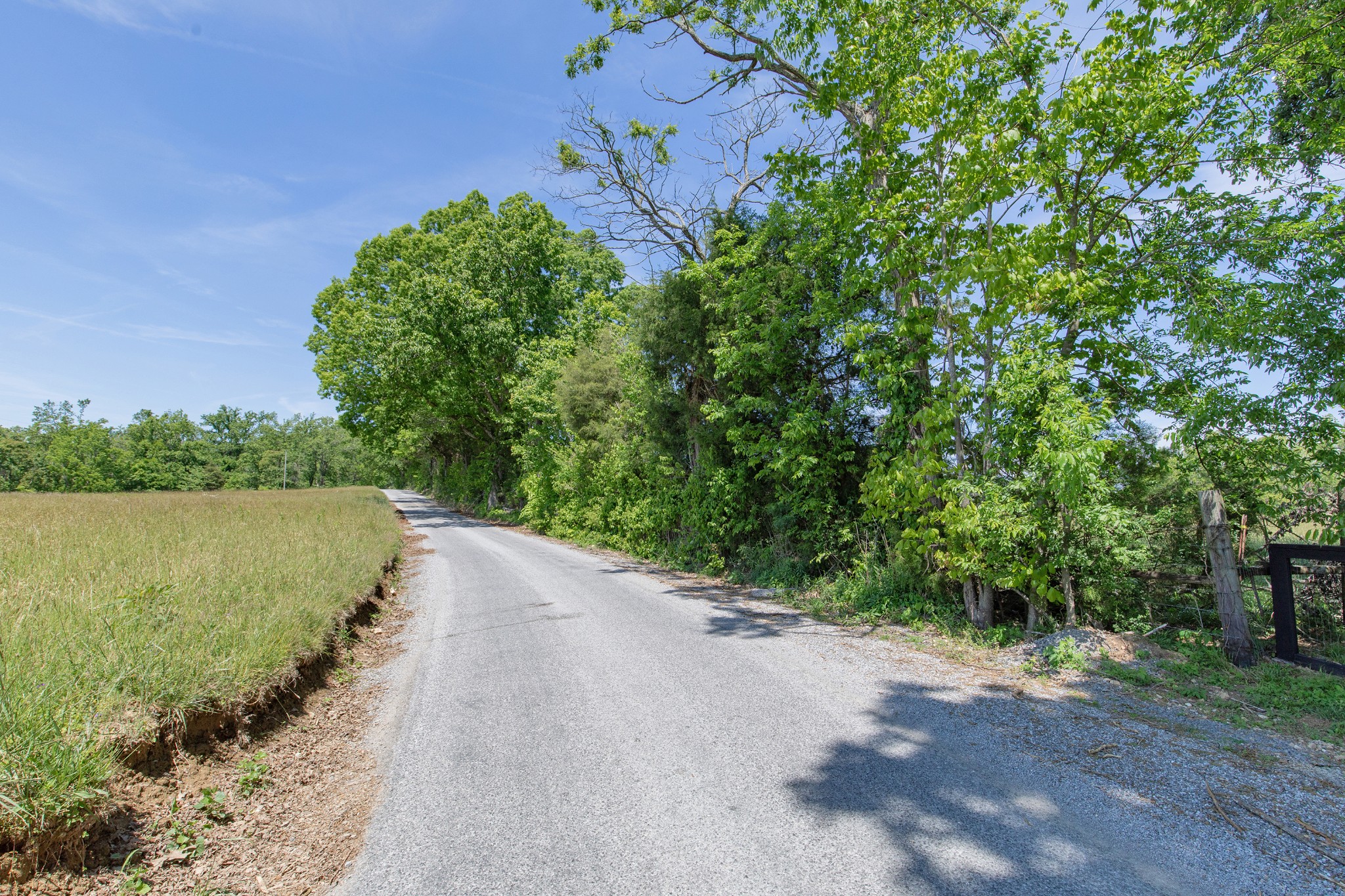 2976 Shrum Cemetery Road Westmoreland, TN 37186 - Photo 65 of 84