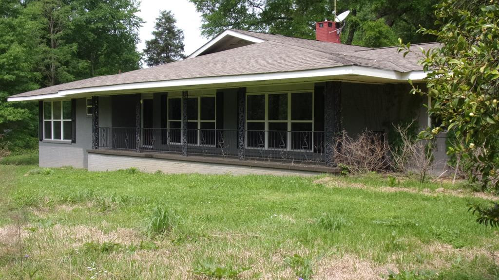 Main View