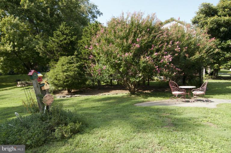 12612 Springloch Court Silver Spring, MD 20904 - Photo 24 of 25 Back yard