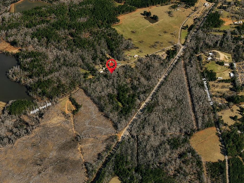 Tbd Apple Tree Road Gilmer, TX 75644 - Photo 6 of 13